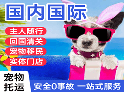 左旗巴彦浩特机场快递国际宠物托运 【国